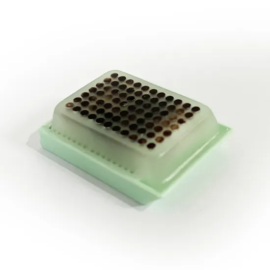 Blocuri de microarray de țesuturi de unică folosință de unică folosință pentru examinarea materialelor de cercetare științifică