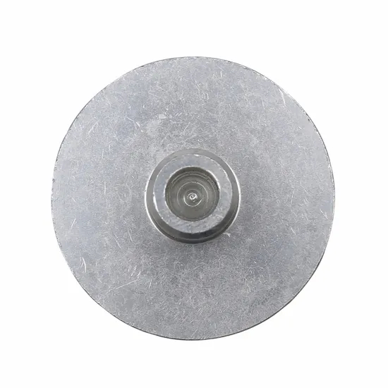 disc de specimen de criostat