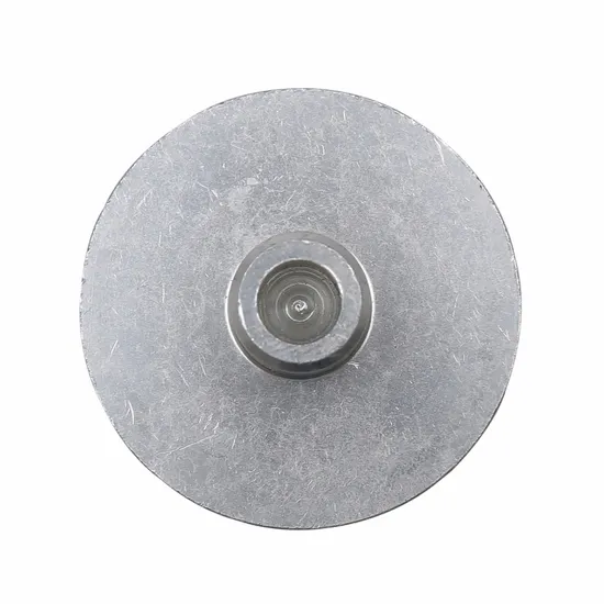 disc de specimen de criostat