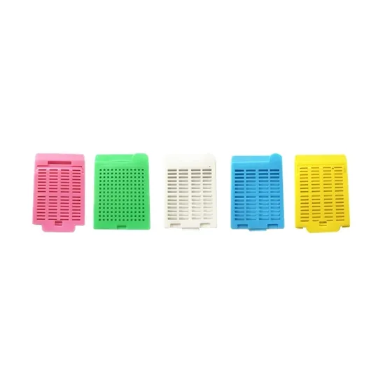 OEM ODM ODM Cutie Custom Cassette Casetă folosită pentru tehnici de colorare histologică